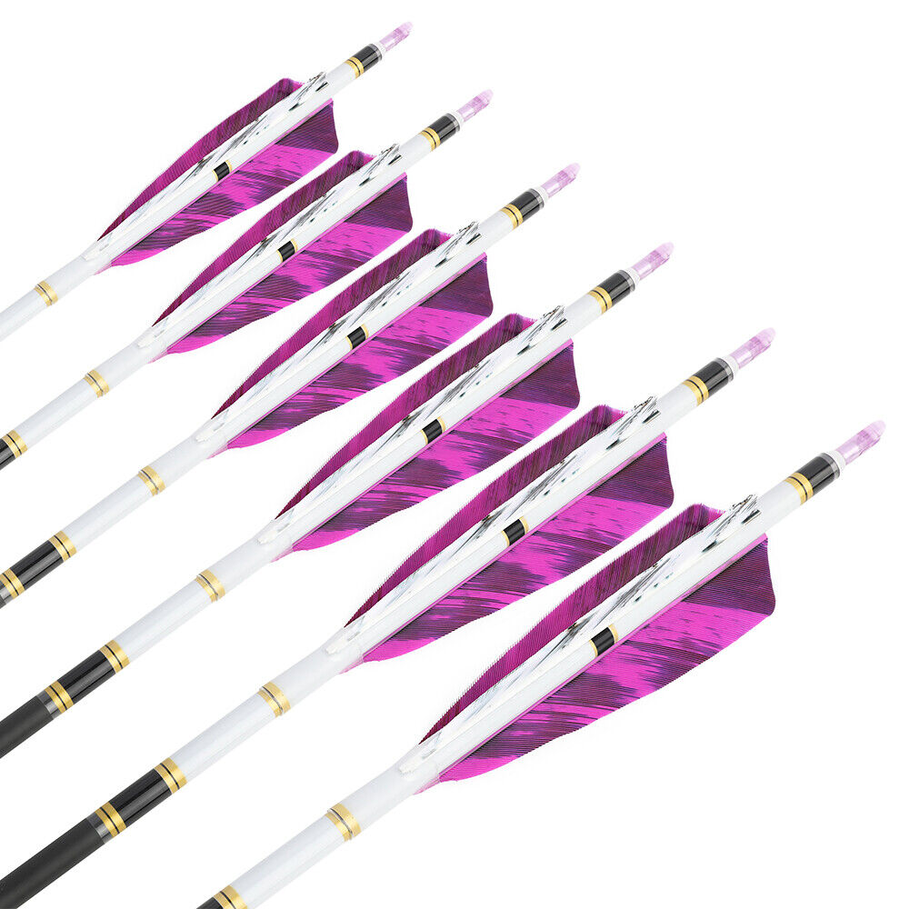 12pcs 31" Archery Pure Carbon Arrows SP250-600 4" Natural Feathers Bow Hunting Target